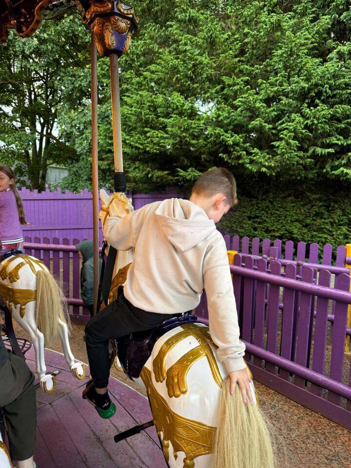 Boy in hoodie riding the carousel - fostering families at theme park