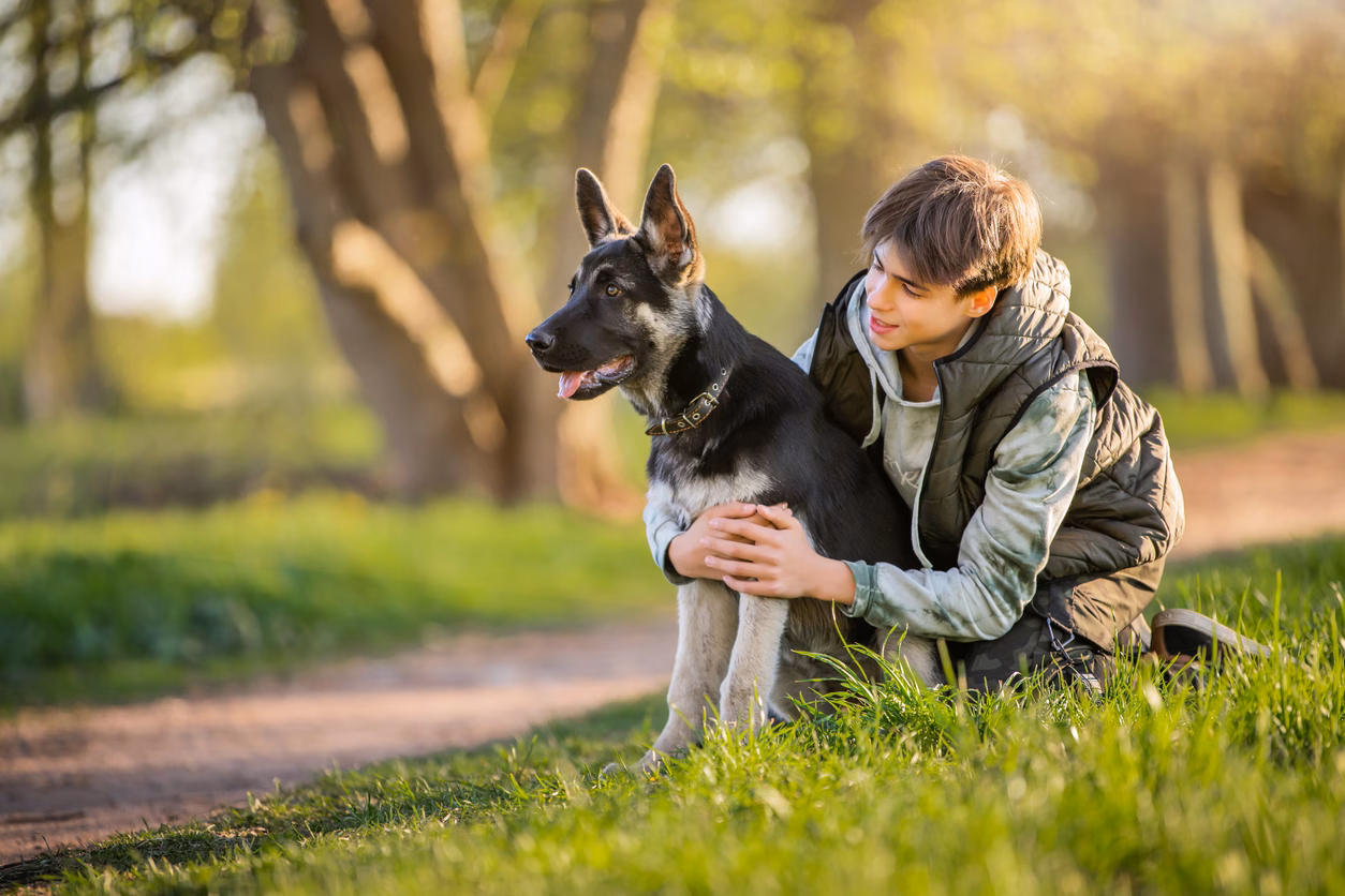 Can I foster if I have pets?